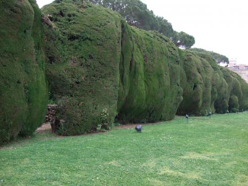 Villa Cimbrone - Ravello